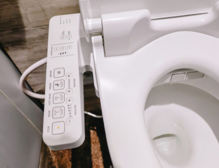 Bidet toilet seats